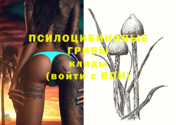 мдма Магас