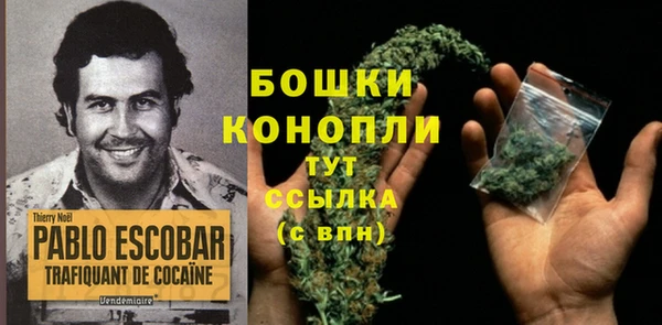 MESCALINE Майский